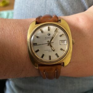 Roamer Vanguard 319